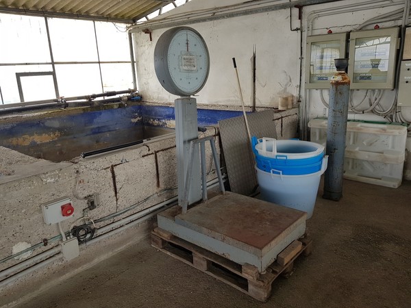 6#5220 Attrezzatura officina in vendita - foto 67