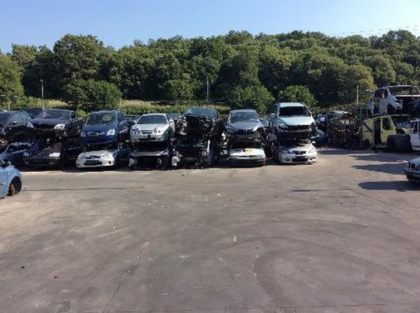 1#5230 Cessione di azienda dedita all'attività di autodemolizione in vendita - foto 43