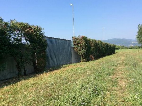 1#5230 Cessione di azienda dedita all'attività di autodemolizione in vendita - foto 58
