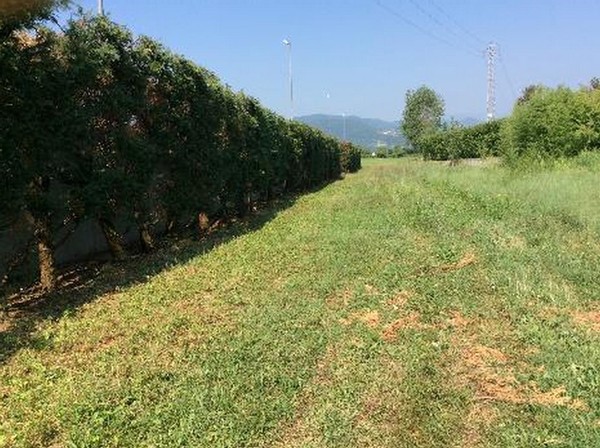 1#5230 Cessione di azienda dedita all'attività di autodemolizione in vendita - foto 59