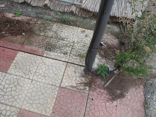 1#5231 Gazebo in ferro in vendita - foto 3