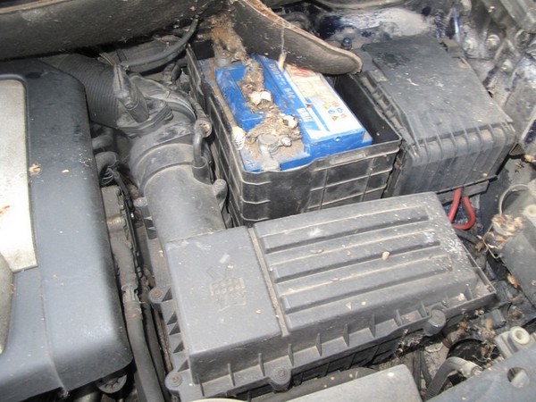 4#5231 Autovettura Volkswagen Touran in vendita - foto 13