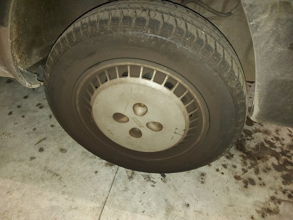 1#5256 Cessione di azienda dedita al commercio di ricambi per automobili e motocicli in vendita - foto 32