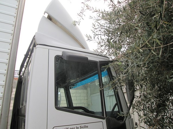 13#5259 Autocarro Iveco Eurocargo in vendita - foto 12