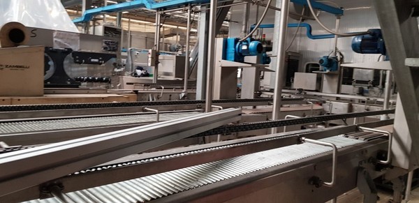 25#5265 Serie di nastri e rulliere Procomac in vendita - foto 2