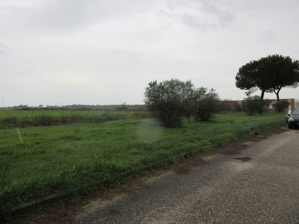 1#5267 Cessione complesso aziendale e marchi della Brunelli Sud Spa in vendita - foto 4
