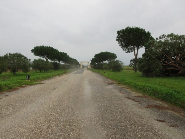 1#5267 Cessione complesso aziendale e marchi della Brunelli Sud Spa in vendita - foto 6