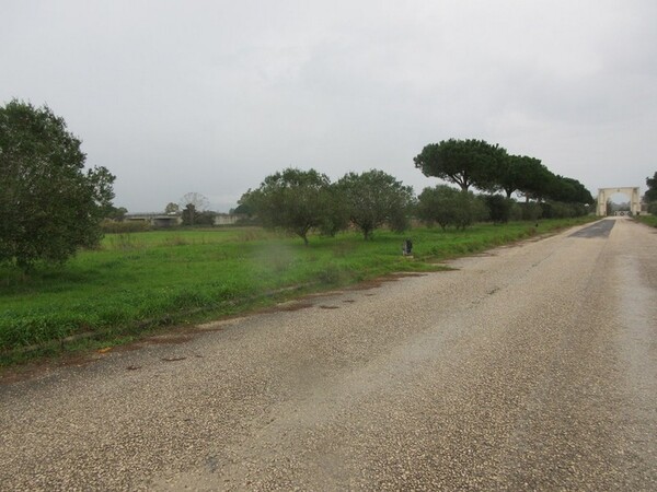 1#5267 Cessione complesso aziendale e marchi della Brunelli Sud Spa in vendita - foto 7
