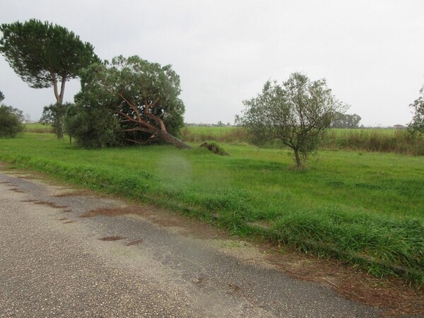 1#5267 Cessione complesso aziendale e marchi della Brunelli Sud Spa in vendita - foto 8