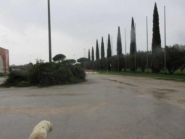 1#5267 Cessione complesso aziendale e marchi della Brunelli Sud Spa in vendita - foto 28