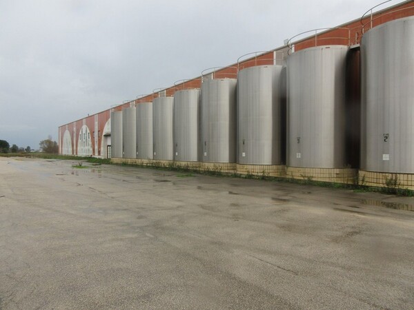 1#5267 Cessione complesso aziendale e marchi della Brunelli Sud Spa in vendita - foto 29