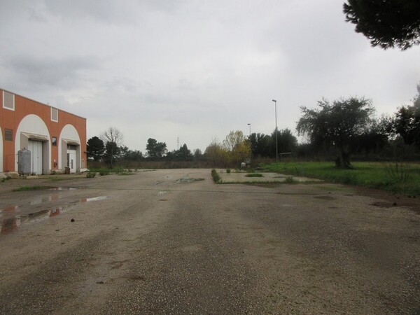 1#5267 Cessione complesso aziendale e marchi della Brunelli Sud Spa in vendita - foto 35