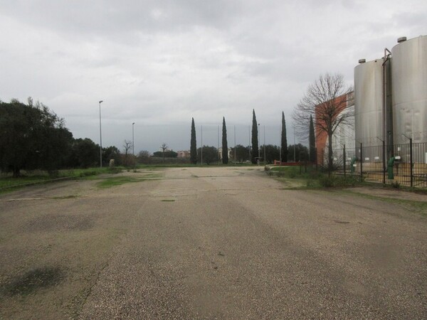 1#5267 Cessione complesso aziendale e marchi della Brunelli Sud Spa in vendita - foto 38