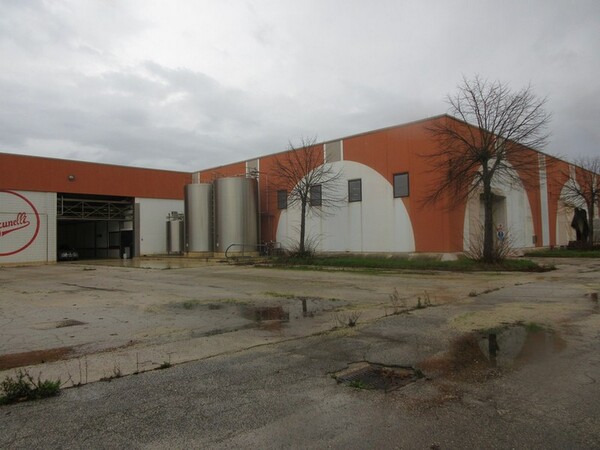 1#5267 Cessione complesso aziendale e marchi della Brunelli Sud Spa in vendita - foto 43