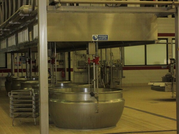1#5267 Cessione complesso aziendale e marchi della Brunelli Sud Spa in vendita - foto 100