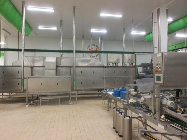 1#5267 Cessione complesso aziendale e marchi della Brunelli Sud Spa in vendita - foto 118