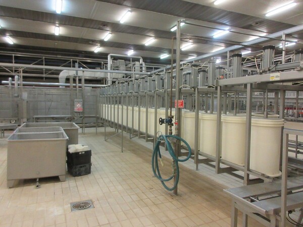 1#5267 Cessione complesso aziendale e marchi della Brunelli Sud Spa in vendita - foto 211