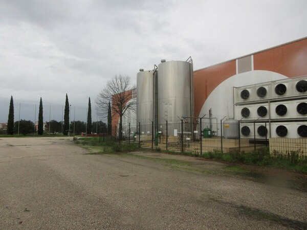 2#5267 Cessione del complesso aziendale Brunelli Sud Spa in vendita - foto 37