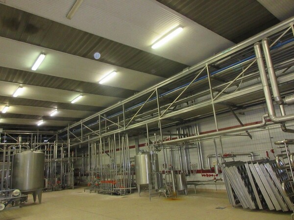2#5267 Cessione del complesso aziendale Brunelli Sud Spa in vendita - foto 84