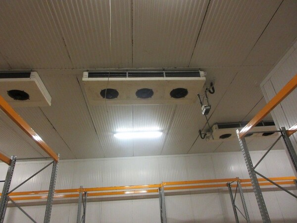 2#5267 Cessione del complesso aziendale Brunelli Sud Spa in vendita - foto 146