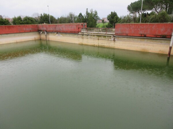 2#5267 Cessione del complesso aziendale Brunelli Sud Spa in vendita - foto 224