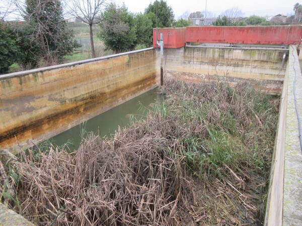 2#5267 Cessione del complesso aziendale Brunelli Sud Spa in vendita - foto 227