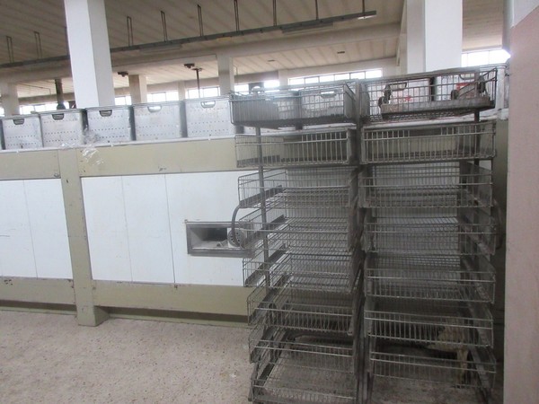 1#5268 Attrezzature e accessori per produzione pane in vendita - foto 40