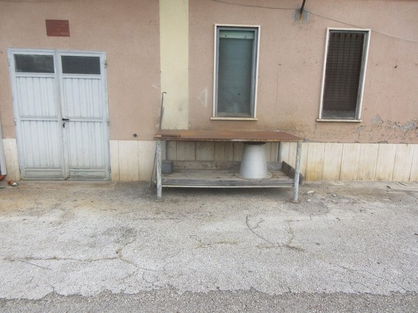 1#5268 Attrezzature e accessori per produzione pane in vendita - foto 174