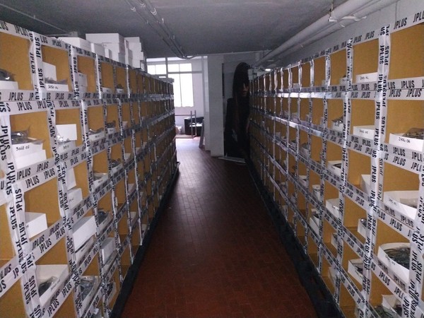 3#5277 Occhiali da sole e montature da vista marca Jplus e Sartorialeye in vendita - foto 18