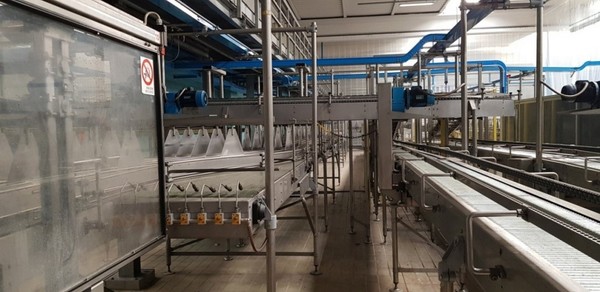 15#5278 Nastri e rulliere Procomac in vendita - foto 1