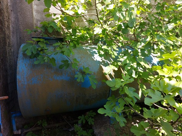 6#5282 Caldaie industriali per la produzione di vapore in vendita - foto 13