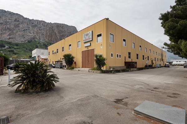 1#5296 Cessione del compendio aziendale F.lli Rosciglione SRL in vendita - foto 1