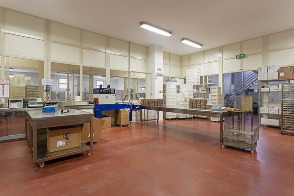 1#5296 Cessione del compendio aziendale F.lli Rosciglione SRL in vendita - foto 4
