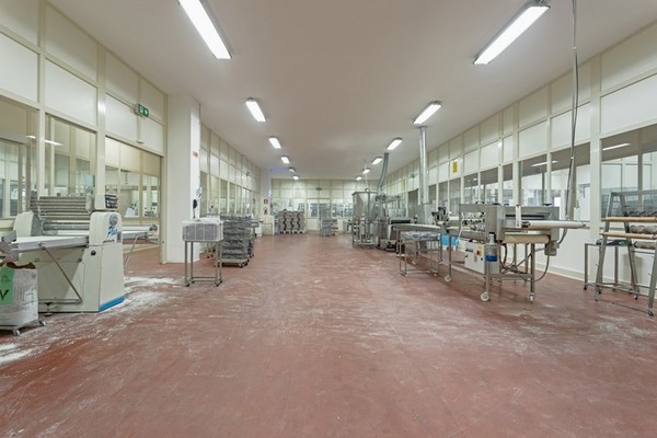 1#5296 Cessione del compendio aziendale F.lli Rosciglione SRL in vendita - foto 6