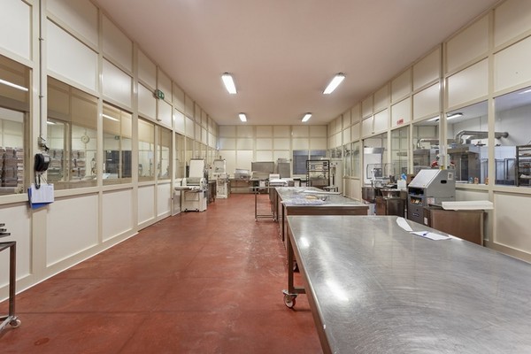 1#5296 Cessione del compendio aziendale F.lli Rosciglione SRL in vendita - foto 7