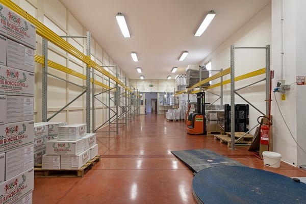 1#5296 Cessione del compendio aziendale F.lli Rosciglione SRL in vendita - foto 9