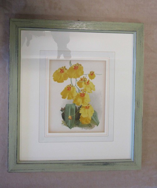 26#5304 Stampe inglesi e pitture a olio in vendita - foto 3