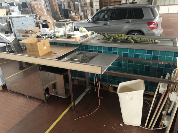 1#5310 Ramo di azienda dedito all'attività di bar e piccola ristorazione in vendita - foto 7