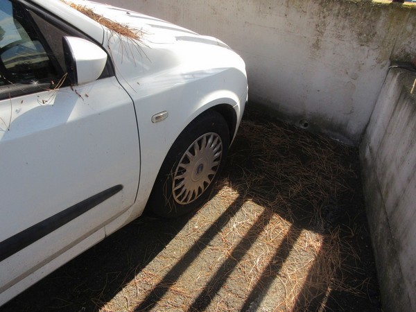 2#5331 Autovettura Fiat Stilo Van in vendita - foto 9