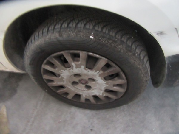 103#5339 Autocarro Fiat Doblò in vendita - foto 9