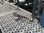 Immagine 11 - Trattore stradale Mercedes Benz Actros - Lotto 1 (Asta 5353)