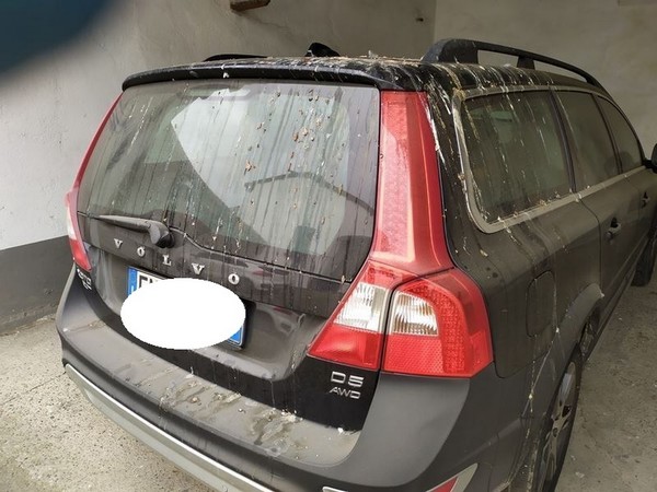 Automobili in vendita
