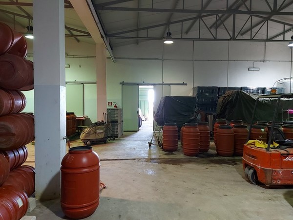 13#5364 Cessione di azienda dedita ad attività di opificio in vendita - foto 18