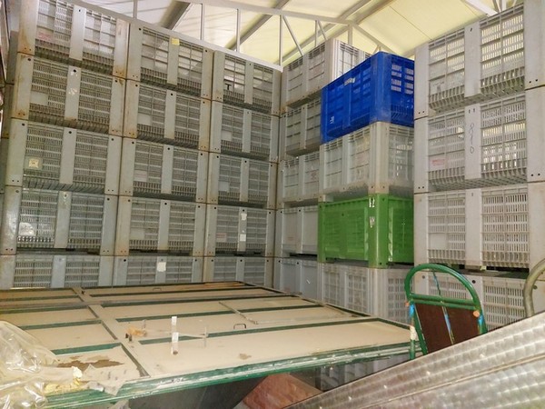 13#5364 Cessione di azienda dedita ad attività di opificio in vendita - foto 44