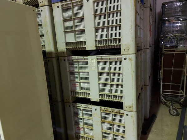 13#5364 Cessione di azienda dedita ad attività di opificio in vendita - foto 82