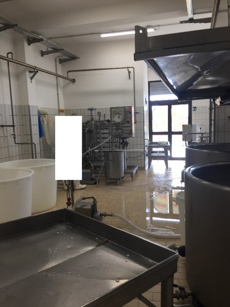 1#5373 Cessione di azienda casearia in vendita - foto 32