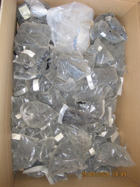 7#5378 Puntali Alettati in vendita - foto 2