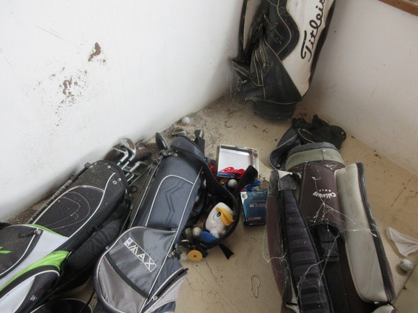 1#5399 Mazze da golf e arredi in vendita - foto 22