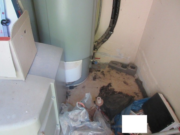 1#5399 Mazze da golf e arredi in vendita - foto 63