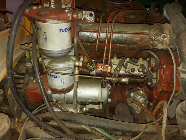 1#5403 Muletto OM in vendita - foto 7